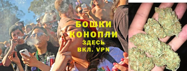ПСИЛОЦИБИНОВЫЕ ГРИБЫ Баксан