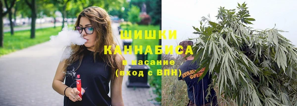 молекула духа Балахна