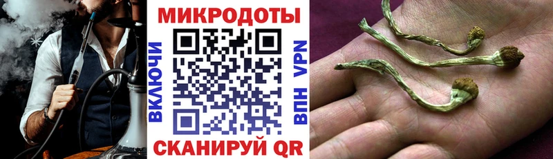 как найти закладки  Сольцы  Галлюциногенные грибы мицелий 